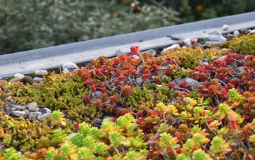 the cost of Far Arnside green roof installation