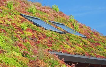 Far Arnside living roof systems